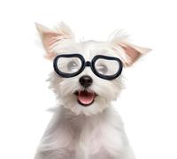 Enjoying Dog Sunglasses Small Breed UV Protection Dog Goggles Eye Wear Windproof Anti-Fog Doggy Shades for Small Dogs About Over 5lbs, Clear