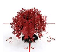 ENJOYPRO Maple Pop Up Card, Japanese Maple 3D Card, Anniversary Card, Mother's Day Card, Mon Card, Birthday Card (3D Maple, Pack of 1)