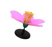 Enlarged Blooming Peach Blossom Model Biology Teaching Equipment Perfect for Biology Teaching with Detailed Structure Student Learning Tools