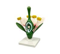 Enlarged Dicot Flower Anatomy Model, 6X Magnified Plant Structure Model For Pollination Demonstration, Teaching Tool For Biology Teachers