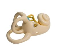 Enlarged Human Inner Ear Anatomy Model Removable Human Internal Model Shows Detail of Internal for Doctor Inner Ear Structure