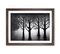 Enlightened Trees H1022 Framed Print for Living Room Bedroom Home Office Décor, Wall Art Picture Ready to Hang, Walnut A2 Frame (64 x 46 cm)