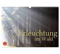Enlightenment in the forest UK-Version (Wall Calendar 2026 DIN A3 Landscape), CALVENDO 12 Month Wall Calendar