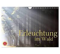 Enlightenment in the forest UK-Version (Wall Calendar 2026 DIN A4 Landscape), CALVENDO 12 Month Wall Calendar