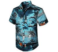 Enlision Hawaiian Shirts for Men Funky Casual Short Sleeve Hawaii Print Aloha Beach Shirt for Summer,Blue,XL