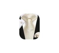 Enlision Paisley Beige Ties for Men Wedding Champagne Tie and Pocket Square Cufflinks Set Floral Jacquard Cream Necktie Handkerchief Party