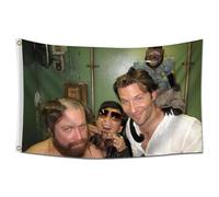 ENMOON Hangover Funny Flag Tapestry 3x5Ft With Brass Grommets for College Dorm Room Man Cave Frat Wall