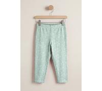 Enorsia Bee Printed Cropped Leggings In Green Green