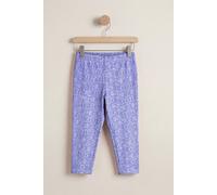 Enorsia Women's Bee Printed Cropped Leggings in Blue | Size: 18