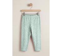Enorsia Women's Bee Printed Cropped Leggings in Green | Size: 12 Enorsia Green 12