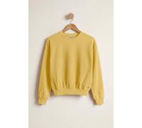 Enorsia Women's Ribbed Hem Cropped Sweatshirt in Yellow | Size: 16