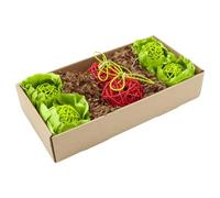 Enriched Life Garden Dig Box | Playful Chews for Rabbits, Guinea Pigs and Other Small Animals