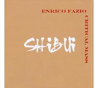 Enrico Fazio Critical Mass - Shibut