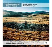 Lieder Eines Fahrenden Gesellen/