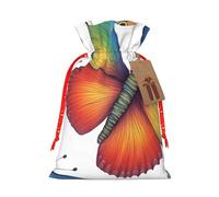 ENRPTY Rainbow Butterfly Print Personalized Drawstring Gift Packing Bag For Anniversary Wedding Christmas