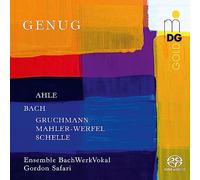 Ensemble BachWerkVokal; Gordon Safari - Genug: Motets and cantatas