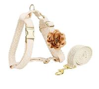 Ensemble harnais et laisse pour chien à motif floral, réglable, dentelle blanche, sans traction, gilet pour chien, harnais de mariage à la mode pour chiennes, promenade, fête