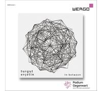 Ensemble Musikfabrik; ELISION Ensemble; SWR Symphonieorchester; Aaron Cassidy; Brad Lubman - Turgut Ercetin: in-between