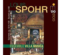 Ensemble Villa Musica