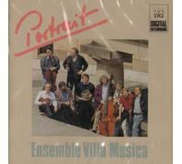 Ensemble Villa Musica - Portrait Ensemble Villa Musica