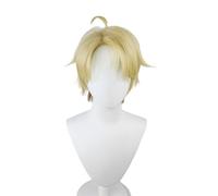 Ensembles Stars Narukamis Arashis Anime Cosplay Wig Hair Costume Party Fancy Dress Wigs for Halloween Carnival Costume Party