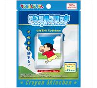 Ensky Crayon Shin-chan Acrylic Block, 1 Box, Approx. 2.0 x 1.6 x 0.3 inches (50 x 40 x 8 mm), Acrylic