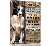 Ensound Border Collie Metal Sign Tin Sign Vintage Wall Art I Am Your Friend Gift for Dog Lovers Vintage Wall Art Prints Funny Outdoor Decor for Home Decor Mancave Decor 8x12 Inch