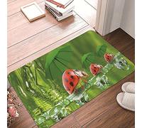 Ensound Cute Ladybug Doormat Comfortable Soft Rug Non-Slip Welcome Mats for Home Kitchen Washable Bathtub Shower Mats Decorative 24X16 Inch