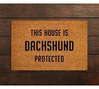 Ensound Dachshund Door Mat, Funny Dogs Door Mat, Funny This House Dachshund Protected Doormat, Welcome Mats with Non-Slip Rubber Flannel Floor Mat, 30x18 Inch