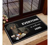 Ensound Dachshund Everyone is Welcome Here Doormat,Novelty Flannel Floor Mat with Non-Slip Rubber,Dachshund Dog Lovers Home Decorative Welcome Doormat 30x18 Inch