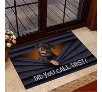Ensound Did You Call First Doormat Comfortable Soft Rug Non-Slip Welcome Mats for Home Kitchen Washable Bathtub Shower Mats Decorative 24X16 Inch