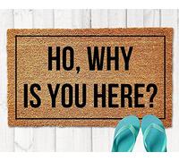 Ensound Door Mat Ho, Why is You Here Welcome Non-Slip Mats Funny Doormat Decor for Bathroom Kitchen Front Porch Rugs Home Decor Entrance 24X16 Inch