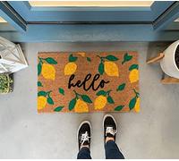 Ensound Lemon Doormat/Pattern Door Mat/Outdoor Welcome Mat/Housewarming Gift/Spring Decor/Lemon Decor/Summer Doormat 30x18 Inch