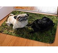 Ensound Lovely Pug Dog Pattern Outdoor Doormat Home Decorative 36x24 Inch