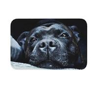 Ensound Staffordshire Bull Terrier in Waiting Doormat Comfortable Soft Rug Non-Slip Welcome Mats for Home Kitchen Washable Bathtub Shower Mats Decorative 24X16 Inch