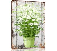 Ensound White Queen Anne's Lace Flower Pot Metal Tin Sign Plaque Poster Vintage Wall Room Gift Aluminium Creative Novelty Unique Funny Art Decoration Tin Waterproof 8x12 Inch