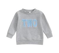 ensswliz Toddler Girl Birthday Outfits Baby Boys One/Two/Three/Four/Five/Six Year Old Birthday Shirts Gift Embroidery Sweatshirt (Grey Two, 2-3 Years)