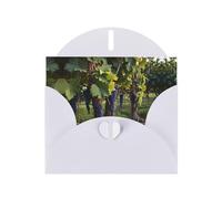 entanglement of grapevines patterns White Pearlescent Paper Holiday Cards 6x4 Inches - With Envelopes for Birthdays, Weddings, and Condolences