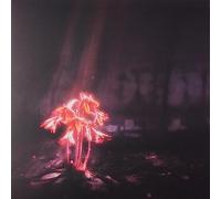 Enter Shikari - A Kiss for the Whole World [VINYL]