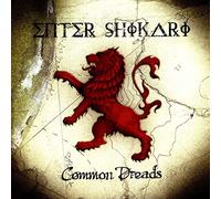 Enter Shikari - Common Dreads [VINYL]