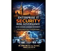 Enterprise IT Security Risk Governance in High-Security Environments