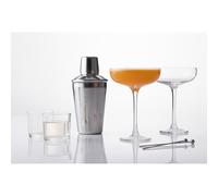 Entertain Martini Cocktail Set glass