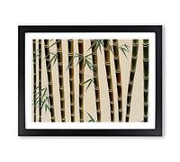 Enthralling Bamboo Forest Framed Wall Art Print A2 Black