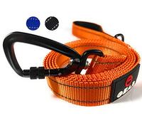 Enthusiast Gear Nylon Dog Leash with Locking Carabiner for Large and Medium Breeds - Heavy Duty Reflective Nylon Lead with Padded Handle for Everyday Walking, Running, Training - 4 Ft or 6 Ft Long
