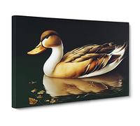 Enticing Duck Canvas Wall Art Print Ready to Hang, Framed Picture for Living Room Bedroom Home Office Décor, 30x20 Inch (76x50 cm)