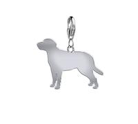 Entlebucher Mountain Dog Silhouette Silver Charm