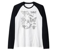 Entomology Bug Species Minimal Scientific Natural History Raglan Baseball Tee
