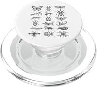 Entomology Bug Species Scientific Natural History Chart PopSockets PopGrip for MagSafe