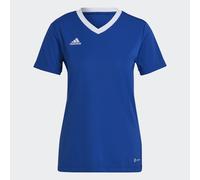 Entrada 22 Jersey