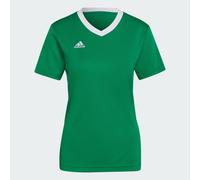 Entrada 22 Jersey